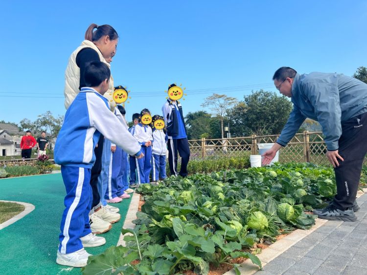 共建爱心花园，大鹏新区残疾儿童园艺疗愈项目启动2.jpeg