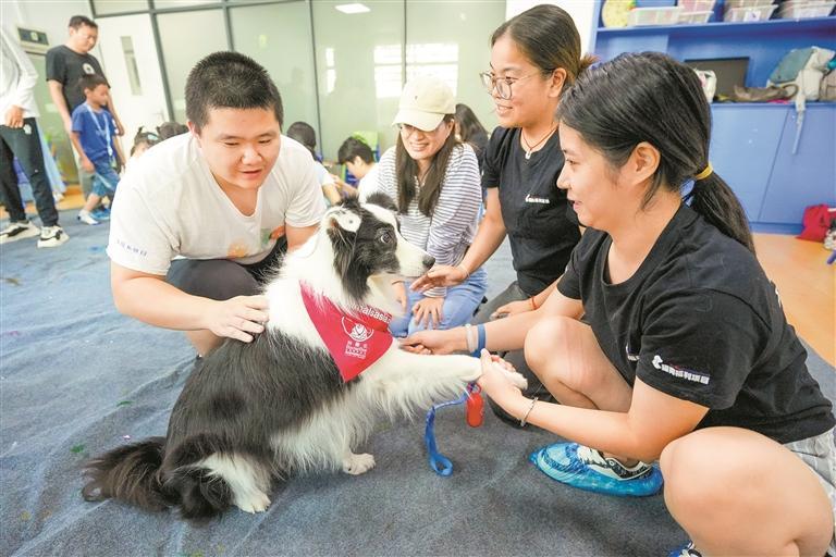 汪汪队会治病 深圳在职“狗医生”约40只.jpg